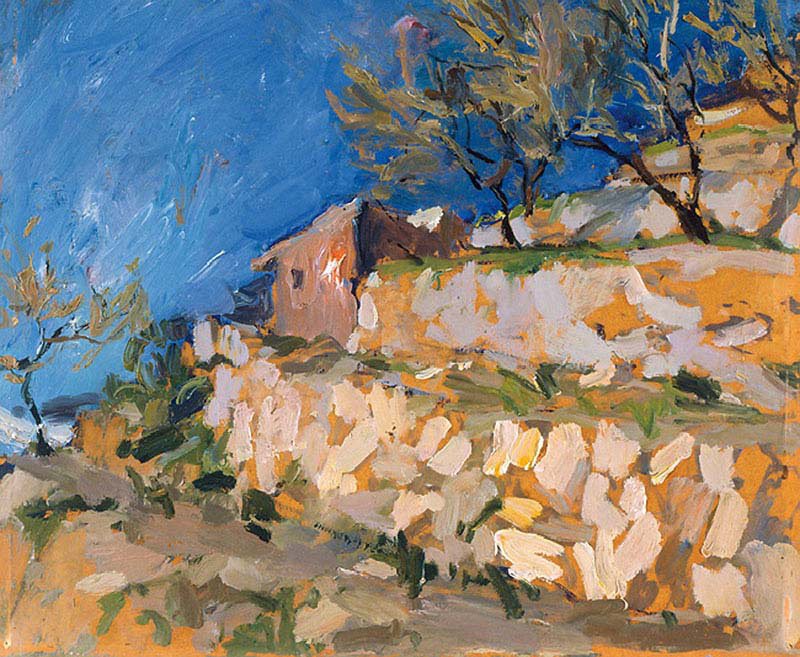 Vineyard near Naples